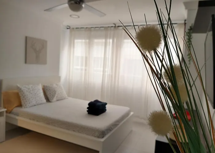 Lejlighed Estudio - Estudio 3 *